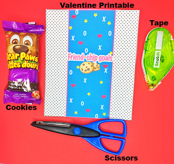 Valentines Day Cookie Package Printable